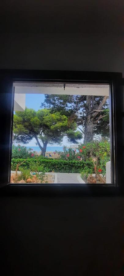 Apartamento Frente Al Mar Alcossebre 외부 사진
